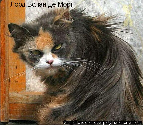 Лорд Волан де Морт... Котоматрица: Лорд Волан де Морт
