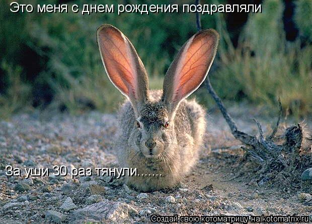 Это меня с днем рождения поздравляли За уши 30 раз тянули.......... Котоматрица: Это меня с днем рождения поздравляли За уши 30 раз тянули.......