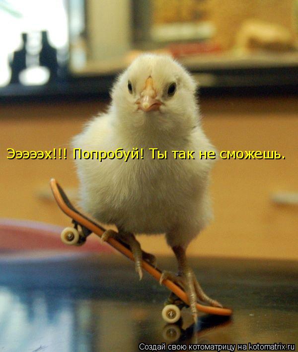 Эээээх!!! Попробуй! Ты так не сможешь.... Котоматрица: Эээээх!!! Попробуй! Ты так не сможешь.
