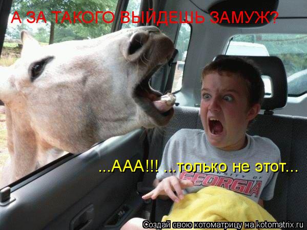 А ЗА ТАКОГО ВЫЙДЕШЬ ЗАМУЖ? ...ААА!!! ...только не этот...... Котоматрица: А ЗА ТАКОГО ВЫЙДЕШЬ ЗАМУЖ? ...ААА!!! ...только не этот...