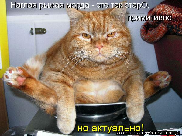 Наглая рыжая морда - это так старО, примитивно... но актуально!