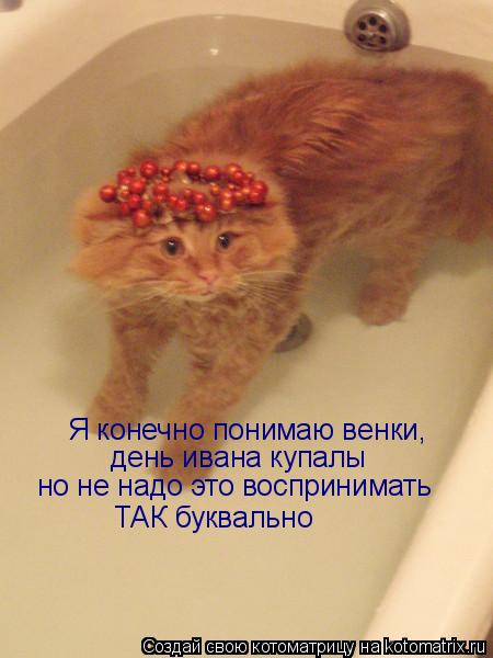 Я конечно понимаю венки, день ивана купалы но не надо это воспринимать ТАК буквально... Котоматрица: Я конечно понимаю венки, день ивана купалы но не надо это воспринимать ТАК буквально
