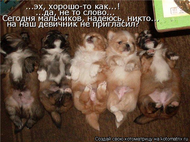 ...эх, хорошо-то как...! ...да, не то слово... Сегодня мальчиков, надеюсь, никто... на наш девичник ... Котоматрица: ...эх, хорошо-то как...! ...да, не то слово... Сегодня мальчиков, надеюсь, никто... на наш девичник не пригласил?