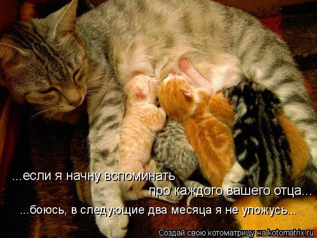 ...если я начну вспоминать про каждого вашего отца... ...боюсь, в следующие два месяца я не уложусь.... Котоматрица: ...если я начну вспоминать про каждого вашего отца... ...боюсь, в следующие два месяца я не уложусь...