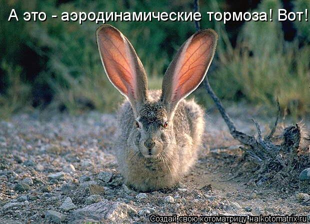 А это - аэродинамические тормоза! Вот!... Котоматрица: А это - аэродинамические тормоза! Вот!