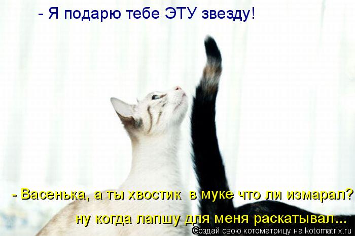- Я подарю тебе ЭТУ звезду! - Васенька, а ты хвостик в муке что ли измарал? ну когда лапшу для меня... Котоматрица: - Я подарю тебе ЭТУ звезду! - Васенька, а ты хвостик в муке что ли измарал? ну когда лапшу для меня раскатывал...