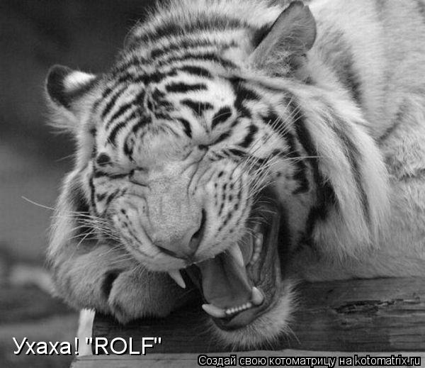 Ухаха! "ROLF"... Котоматрица: Ухаха! "ROLF"