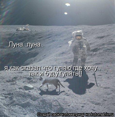 Луна..луна.. я как сказал что гуляю где хочу , так и буду гулять!!... Котоматрица: Луна..луна.. я как сказал что гуляю где хочу , так и буду гулять!!