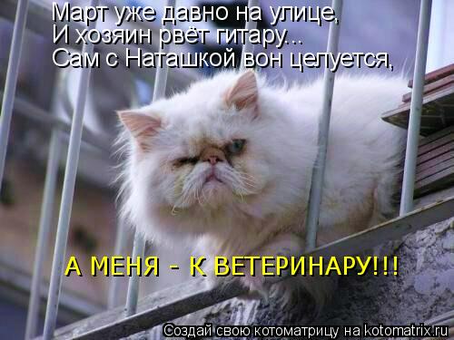 Март уже давно на улице, И хозяин рвёт гитару... Сам с Наташкой вон целуется, А МЕНЯ - К ВЕТЕРИНАРУ!!... Котоматрица: Март уже давно на улице, И хозяин рвёт гитару... Сам с Наташкой вон целуется, А МЕНЯ - К ВЕТЕРИНАРУ!!!