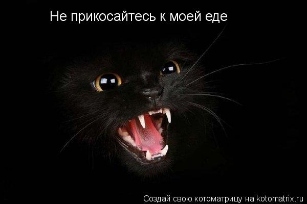 Не прикосайтесь к моей еде... Котоматрица: Не прикосайтесь к моей еде