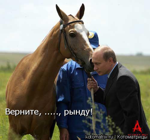 Верните, ....., рынду!... Котоматрица: Верните, ....., рынду!