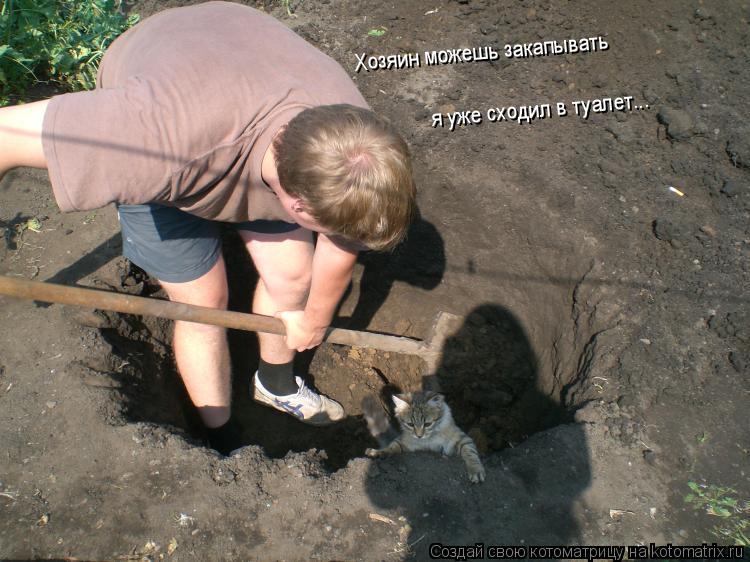 Хозяин можешь закапывать я уже сходил в туалет...... Котоматрица: Хозяин можешь закапывать я уже сходил в туалет...