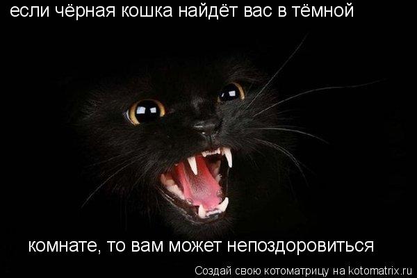 если чёрная кошка найдёт вас в тёмной комнате, то вам может непоздоровиться... Котоматрица: если чёрная кошка найдёт вас в тёмной комнате, то вам может непоздоровиться