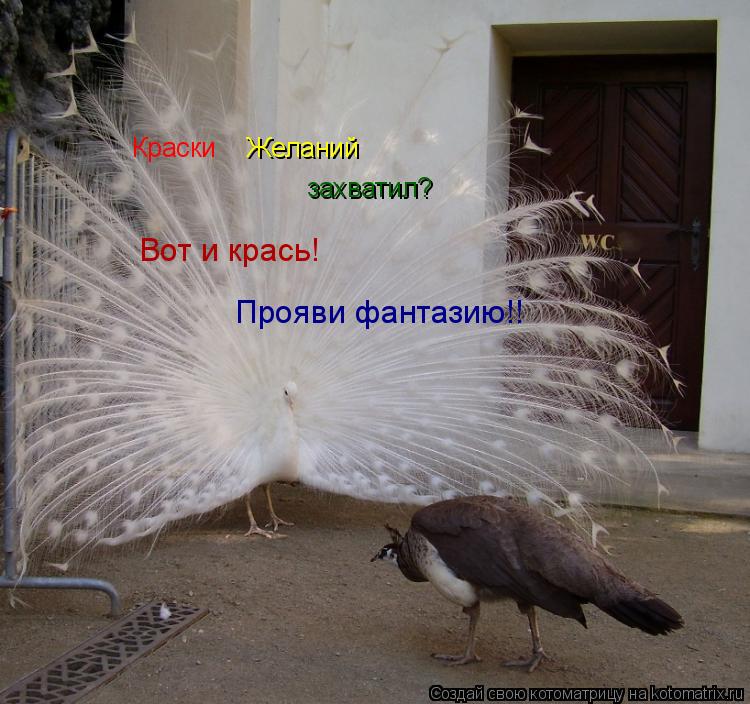 Краски Желаний захватил? Вот и крась! Прояви фантазию!!... Котоматрица: Краски Желаний захватил? Вот и крась! Прояви фантазию!!