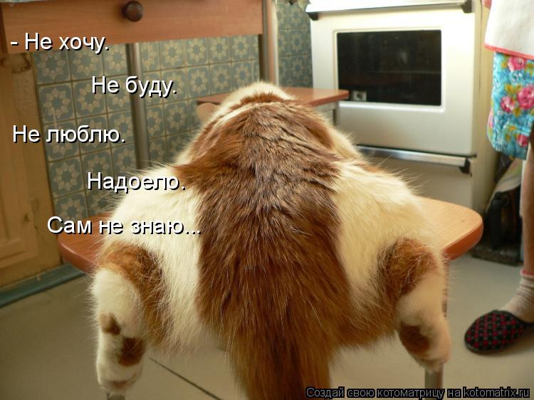 Котоматрица: Сам не знаю... - Не хочу.  Не буду.   Не люблю.   Надоело.