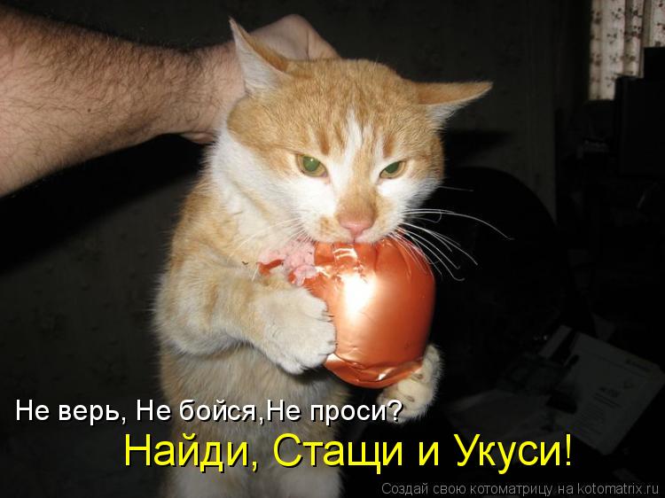 Найди, Стащи и Укуси! Не верь, Не бойся,Не проси?... Котоматрица: Найди, Стащи и Укуси! Не верь, Не бойся,Не проси?