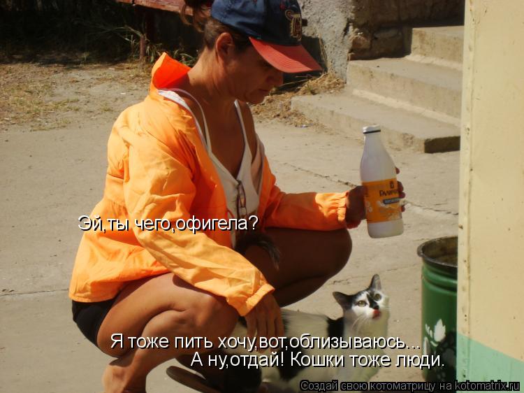 Эй,ты чего,офигела? Я тоже пить хочу,вот,облизываюсь... А ну,отдай! Кошки тоже люди.... Котоматрица: Эй,ты чего,офигела? Я тоже пить хочу,вот,облизываюсь... А ну,отдай! Кошки тоже люди.