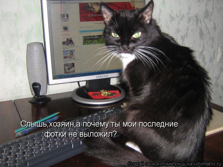 Слышь,хозяин,а почему ты мои последние фотки не выложил?... Котоматрица: Слышь,хозяин,а почему ты мои последние фотки не выложил?
