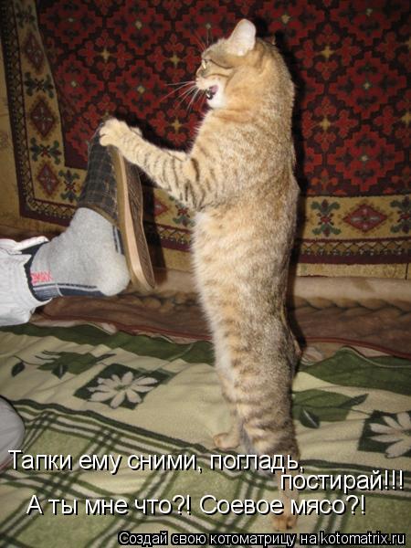 Тапки ему сними, погладь, постирай!!! А ты мне что?! Соевое мясо?!... Котоматрица: Тапки ему сними, погладь, постирай!!! А ты мне что?! Соевое мясо?!