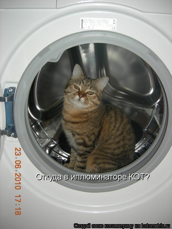 Откуда в иллюминаторе КОТ?... Котоматрица: Откуда в иллюминаторе КОТ?