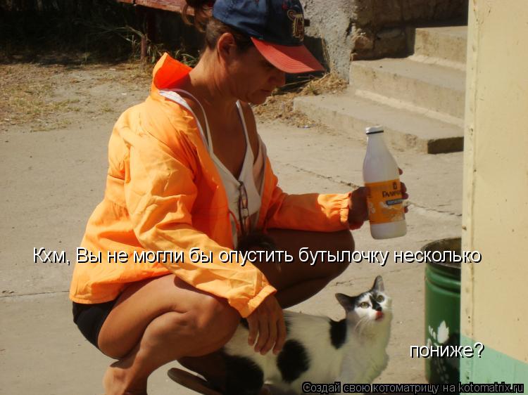 Кхм, Вы не могли бы опустить бутылочку несколько пониже?... Котоматрица: Кхм, Вы не могли бы опустить бутылочку несколько пониже?