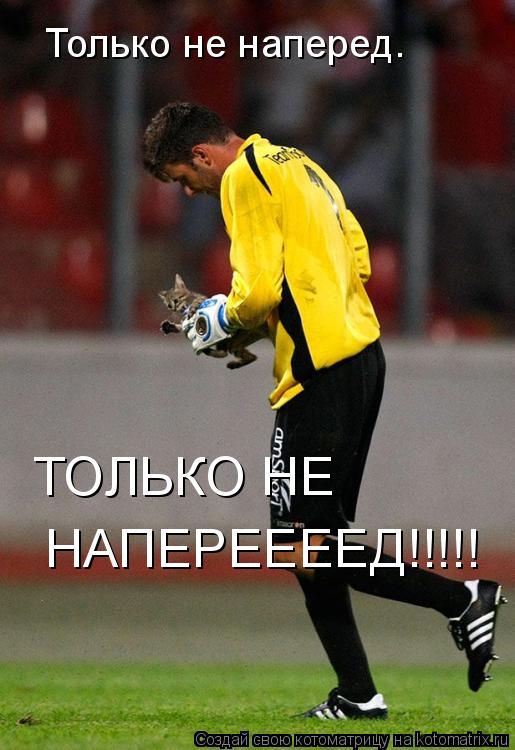 Только не наперед. ТОЛЬКО НЕ НАПЕРЕЕЕЕД!!!!!... Котоматрица: Только не наперед. ТОЛЬКО НЕ НАПЕРЕЕЕЕД!!!!!