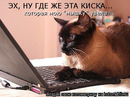 ЭХ, НУ ГДЕ ЖЕ ЭТА КИСКА... которая мою "мышку" увела...... Котоматрица: ЭХ, НУ ГДЕ ЖЕ ЭТА КИСКА... которая мою "мышку" увела...
