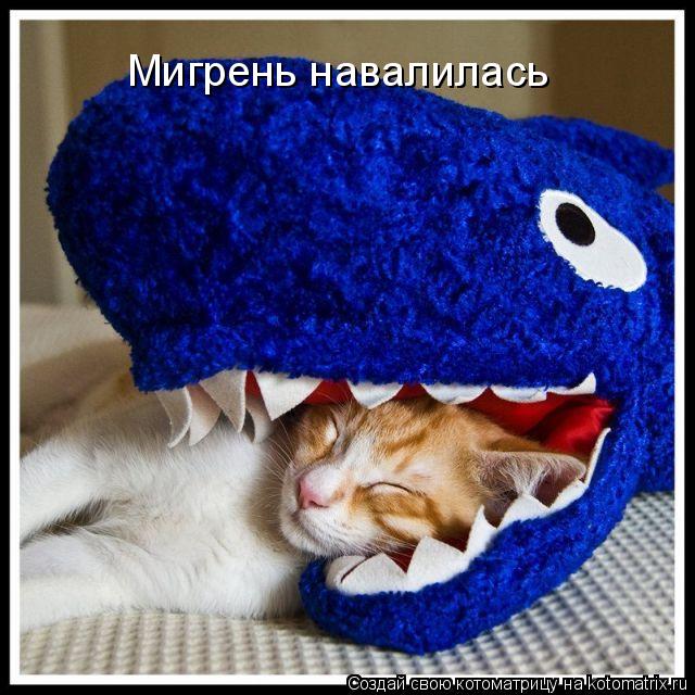 Мигрень навалилась... Котоматрица: Мигрень навалилась