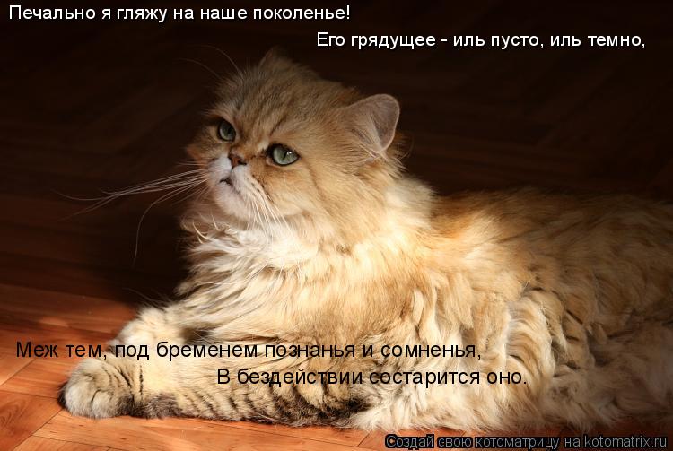 Печально я гляжу на наше поколенье! Его грядущее - иль пусто, иль темно, Меж тем, под бременем позн... Котоматрица: Печально я гляжу на наше поколенье! Его грядущее - иль пусто, иль темно, Меж тем, под бременем познанья и сомненья, В бездействии состарится