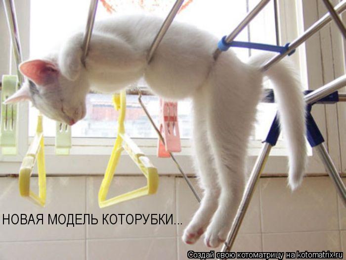 НОВАЯ МОДЕЛЬ КОТОРУБКИ...... Котоматрица: НОВАЯ МОДЕЛЬ КОТОРУБКИ...