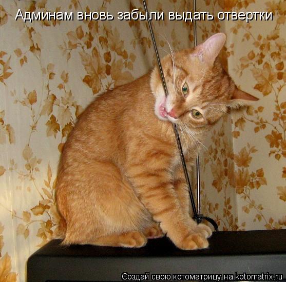 Админам вновь забыли выдать отвертки... Котоматрица: Админам вновь забыли выдать отвертки