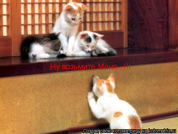 Ну возьмите Меня...!!!... Котоматрица: Ну возьмите Меня...!!!
