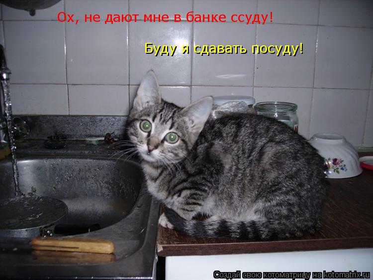 Ох, не дают мне в банке ссуду! Буду я сдавать посуду!... Котоматрица: Ох, не дают мне в банке ссуду! Буду я сдавать посуду!