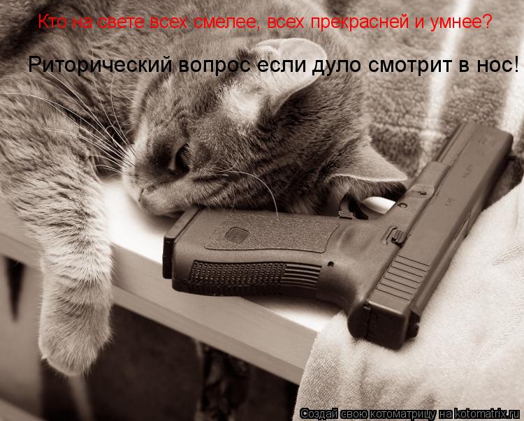 Кто на свете всех смелее, всех прекрасней и умнее? Риторический вопрос если дуло смотрит в нос!... Котоматрица: Кто на свете всех смелее, всех прекрасней и умнее? Риторический вопрос если дуло смотрит в нос!