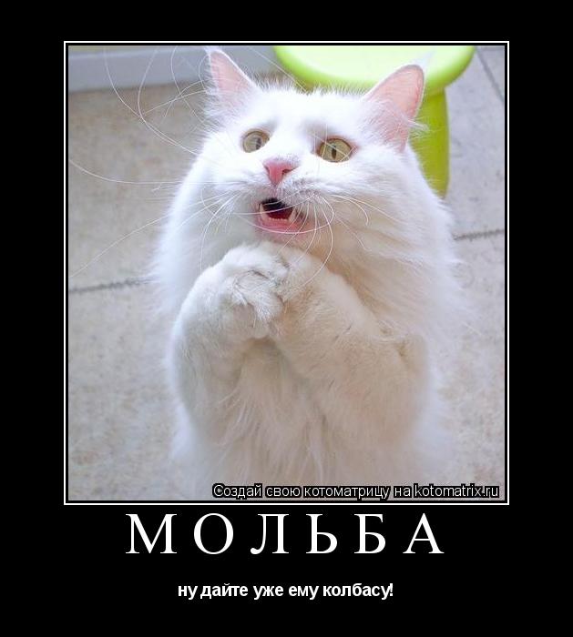 МОЛЬБА ну дайте уже ему колбасу!... Котоматрица: МОЛЬБА ну дайте уже ему колбасу!