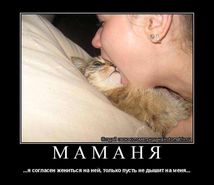 МАМАНЯ ...я согласен жениться на ней, только пусть не дышит на меня...... Котоматрица: МАМАНЯ ...я согласен жениться на ней, только пусть не дышит на меня...