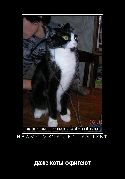 НЕАVY METAL ВСТАВЛЯЕТ даже коты офигеют... Котоматрица: НЕАVY METAL ВСТАВЛЯЕТ даже коты офигеют