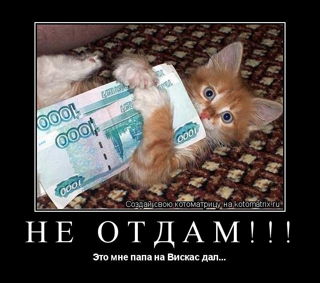 Не отдам!!! Это мне папа на Вискас дал...... Котоматрица: Не отдам!!! Это мне папа на Вискас дал...
