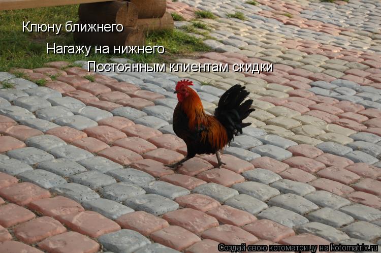 Клюну ближнего Нагажу на нижнего Постоянным клиентам скидки... Котоматрица: Клюну ближнего Нагажу на нижнего Постоянным клиентам скидки