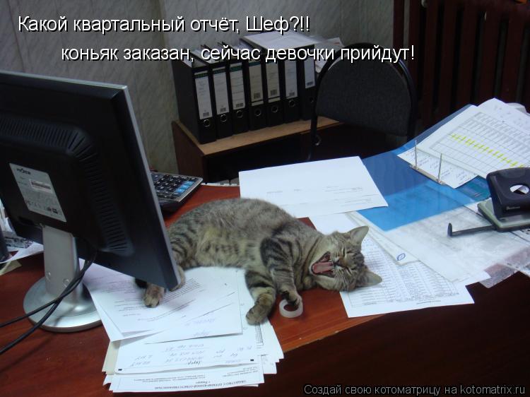 Какой квартальный отчёт, Шеф?!! коньяк заказан, сейчас девочки прийдут!... Котоматрица: Какой квартальный отчёт, Шеф?!! коньяк заказан, сейчас девочки прийдут!