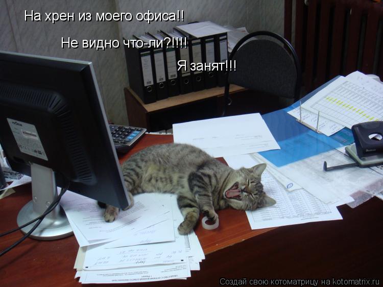 На хрен из моего офиса!! Не видно что-ли?!!!! Я занят!!!... Котоматрица: На хрен из моего офиса!! Не видно что-ли?!!!! Я занят!!!