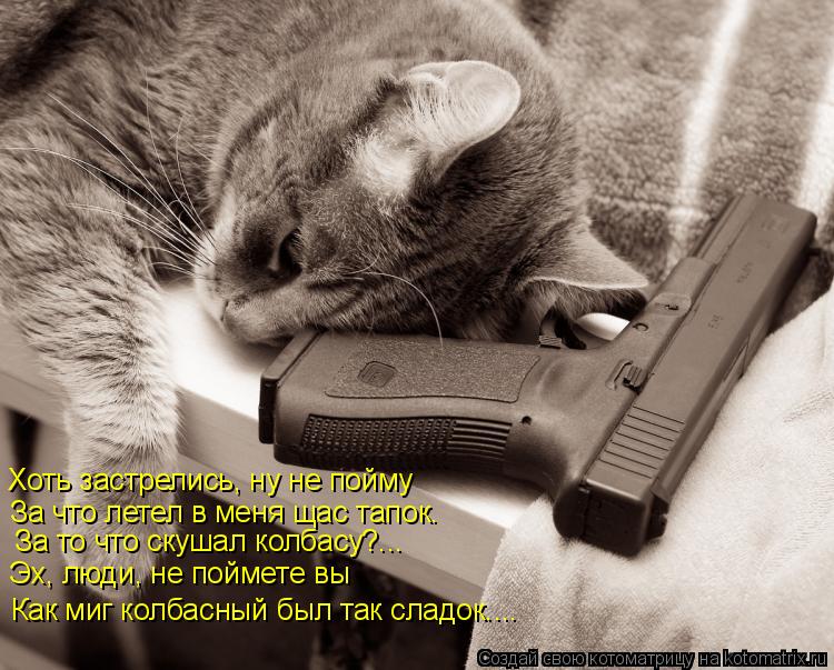 Хоть застрелись, ну не пойму За что летел в меня щас тапок. За то что скушал колбасу?... Эх, люди, не... Котоматрица: Хоть застрелись, ну не пойму За что летел в меня щас тапок. За то что скушал колбасу?... Эх, люди, не поймете вы Как миг колбасный был так сладок