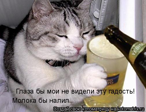 Глаза бы мои не видели эту гадость! Молока бы налил..... Котоматрица: Глаза бы мои не видели эту гадость! Молока бы налил..