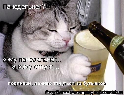 Панедельнег?!!! кому панедельнег... а кому отпуск.... подливай, лениво тянуться за бутылкой... Котоматрица: Панедельнег?!!! кому панедельнег... а кому отпуск.... подливай, лениво тянуться за бутылкой
