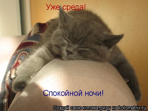 Уже среда! Спокойной ночи!... Котоматрица: Уже среда! Спокойной ночи!