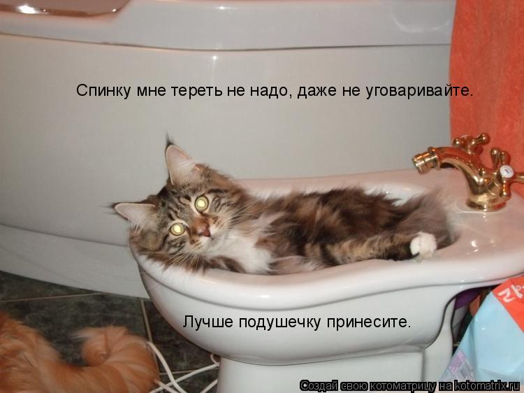 Спинку мне тереть не надо, даже не уговаривайте. Лучше подушечку принесите.... Котоматрица: Спинку мне тереть не надо, даже не уговаривайте. Лучше подушечку принесите.
