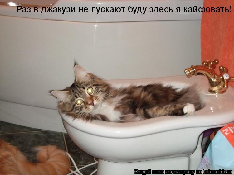 Раз в джакузи не пускают буду здесь я кайфовать!... Котоматрица: Раз в джакузи не пускают буду здесь я кайфовать!