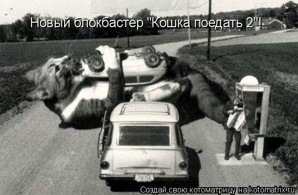 Новый блокбастер "Кошка поедать 2"!... Котоматрица: Новый блокбастер "Кошка поедать 2"!