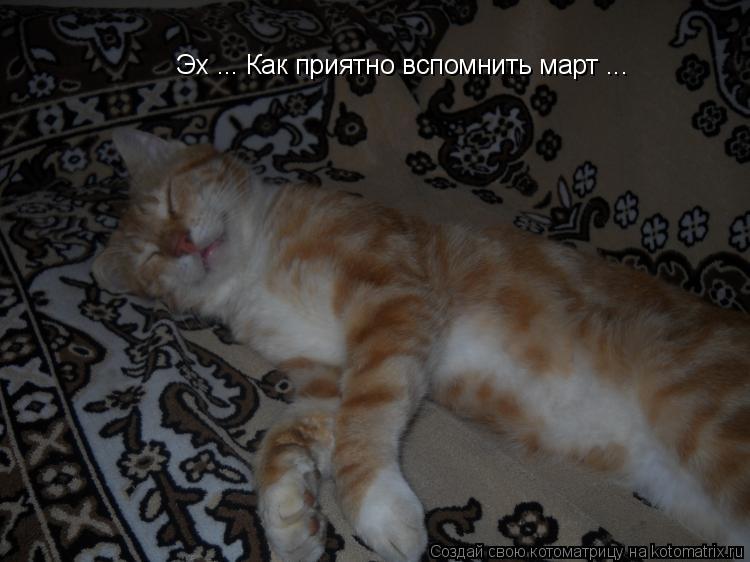 Эх ... Как приятно вспомнить март ...... Котоматрица: Эх ... Как приятно вспомнить март ...