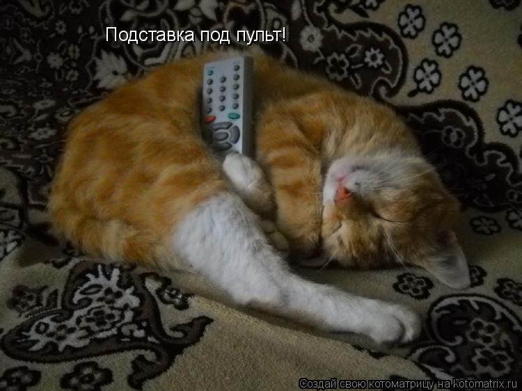 Подставка под пульт!... Котоматрица: Подставка под пульт!